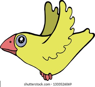 yellow bird isolated