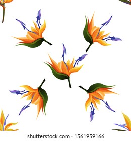 Yellow bird of paradise Strelitzia. Orange Strelitzia. Vector illustration. Seamless background pattern. Floral botanical flower. Wild leaf wildflower isolated. Exotic tropical hawaiian jungle.