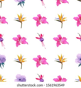 Yellow bird of paradise Strelitzia. Pink Bauhinia Purpurea. Pink and Purple Fuchsia Bella. Violet Anemone. Vector illustration. Seamless background pattern. Floral botanical flower. Wild leaf.