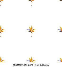 Yellow bird of paradise Strelitzia. Vector illustration. Seamless background pattern. Floral botanical flower. Wild leaf wildflower isolated. Exotic tropical hawaiian jungle. Fabric wallpaper print.