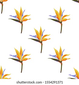 Yellow bird of paradise Strelitzia. Vector illustration. Seamless background pattern. Floral botanical flower. Wild leaf wildflower isolated. Exotic tropical hawaiian jungle. Fabric wallpaper print.