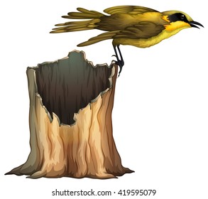 Ave amarillo parado en la ilustración del registro