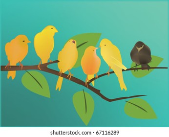 yellow birds and a black one