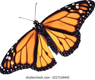 Yellow and black color butterfly vector illustration design
