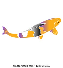 Yellow black Koi fish