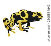 Yellow and black poison dart frog vector graphic
