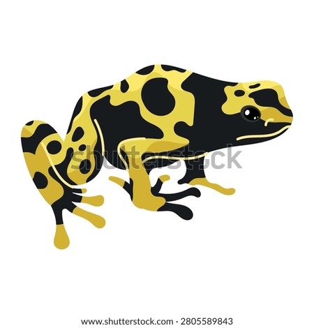 Yellow and black poison dart frog vector graphic

