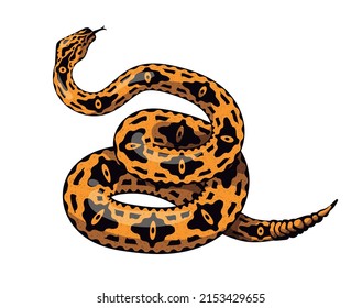 yellow and black rattlesnake boa serpent