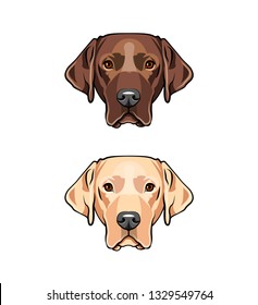 Yellow And Black Young Labrador Retriever, Dogs Faces Set. Vector Illustration Isolated On White Background