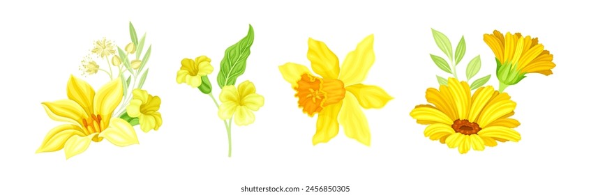 Yellow Blooming Flower as Garden Blossom Vector Set