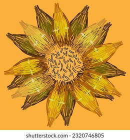 yellow blooming sunflower vector illustration