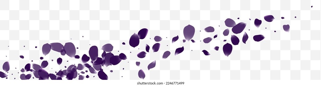 Yellow Blossom Fall Vector White Transparent Panoramic Background. Fly Flower Frame. Purple Tulip Night Texture. Beautiful Petal Tender Backdrop.