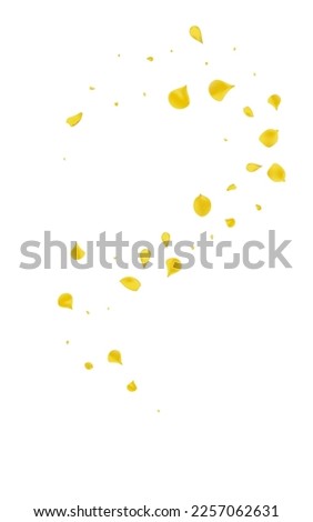 Yellow Blossom Flying Vector White Background. Japanese Peach Illustration. Canary Lotus Summer Template. Lemon Floral Spring Design.