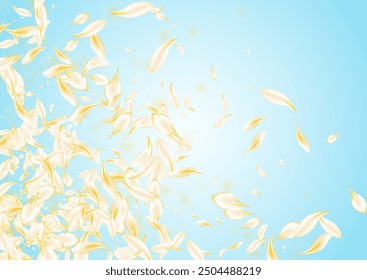 Yellow Blossom Japan Vector Blue Background. Delicate Beauty Cherry Texture. Beige Rose Japanese Frame. White Lotus Tender Design. Spring Petal Cover.