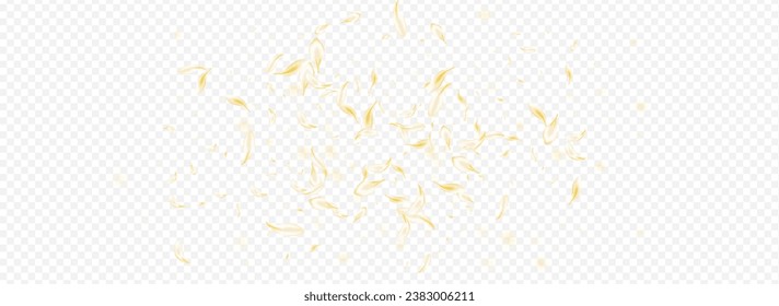 Yellow Blossom Japan Vector Panoramic Transparent Background. Beige Blur Floral Illustration. White Cherry Falling Frame. Light Petal Flying Backdrop. Fall Peach Texture.