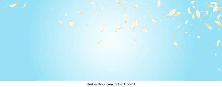 Yellow Blossom Japanese Vector Panoramic Blue Background. Gold Japan Rose Banner. Light Peach Fall Pattern. Delicate Flower Summer Illustration. Flying Cherry Texture.