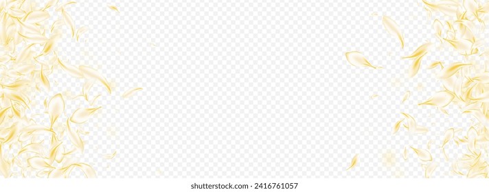 Yellow Blossom Tender Vector Panoramic Transparent Background. Light Fall Lotus Wallpaper. Gold Cherry Spring Illustration. Delicate Floral Fly Pattern. Beauty Rose Texture.