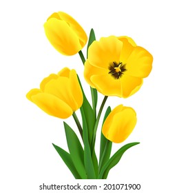 Yellow blossoming tulip flower bouquet realistic vector illustration