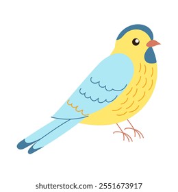 A yellow and blue bird is standing on a white background. The bird has a cute and friendly expression