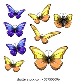 yellow and blue butterflies on white background vector