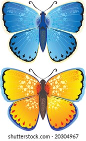 Yellow and blue butterfly
