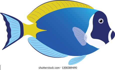 40,293 Hawaii fish Images, Stock Photos & Vectors | Shutterstock