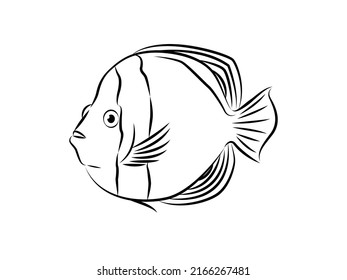 Yellow and Blue Fish Vector Illustration. Line art of fish.