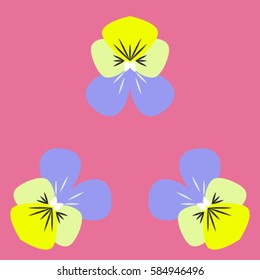 yellow and blue viola in a flat style on a pink background, vector illustration