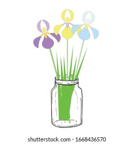 Yellow, blue and violet iris in jar. Art spring flowers design element stock vector object iolated for web, for print