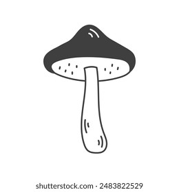 Yellow Boletus Mushroom Line Doodle Icon. Hand drawn Fungus symbol. Forest plant. Isolated vector illustration. Sketch cartoon style