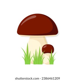 Yellow boletus vector flat illustration. Stylized mushroom with brown cap in green grass on white background.