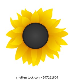 yellow bright flower (sunflower) - vector illustration