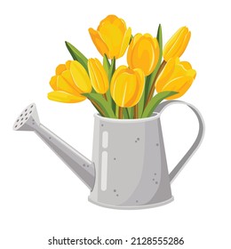 Yellow bright tulips in a watering can. Vector illustration