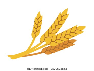 Yellow and brown stylized wheat ears drawn in a flat design style, placed on a white background. Represents agriculture, farming, and harvest. Vector illustration