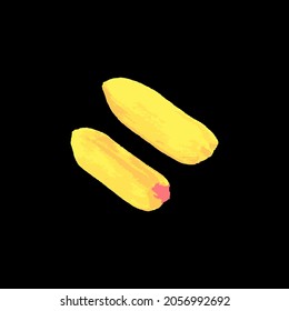 Yellow brush stroke isolated on white vector 