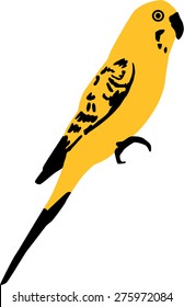 Yellow Budgie