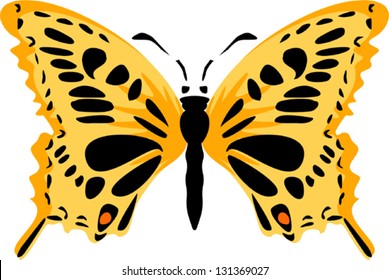 Yellow butterfly