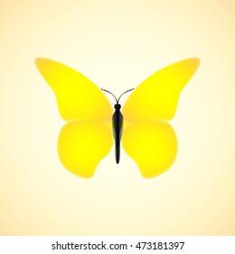yellow butterfly