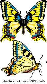 yellow butterfly