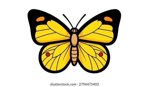 A yellow butterfly with black wings