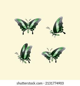 Yellow Butterfly Cartoon for logo or Mascot, Vector.