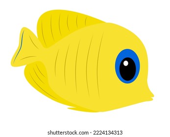 Yellow butterfly fish isolated on white background