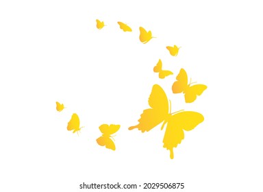 Yellow butterfly, forming a semicircle