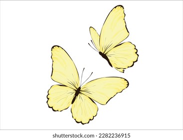 yellow butterfly hand drawn design