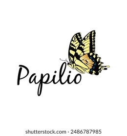 yellow butterfly hand drawn vector