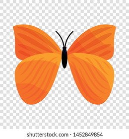 Yellow butterfly icon. Cartoon illustration of yellow butterfly vector icon for web
