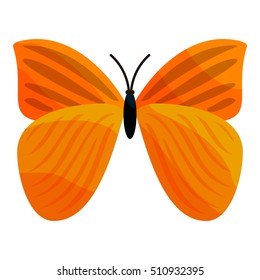 Yellow butterfly icon. Cartoon illustration of yellow butterfly vector icon for web