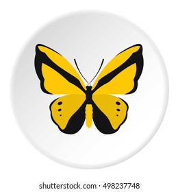 Yellow butterfly icon. Flat illustration of butterfly vector icon for web design