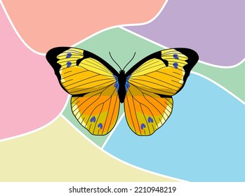 yellow butterfly vector illustration with colorful abstract background