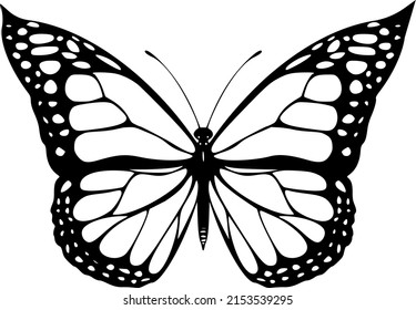 Yellow butterfly vector. Tattoo,Laser cut, vector, illustration.